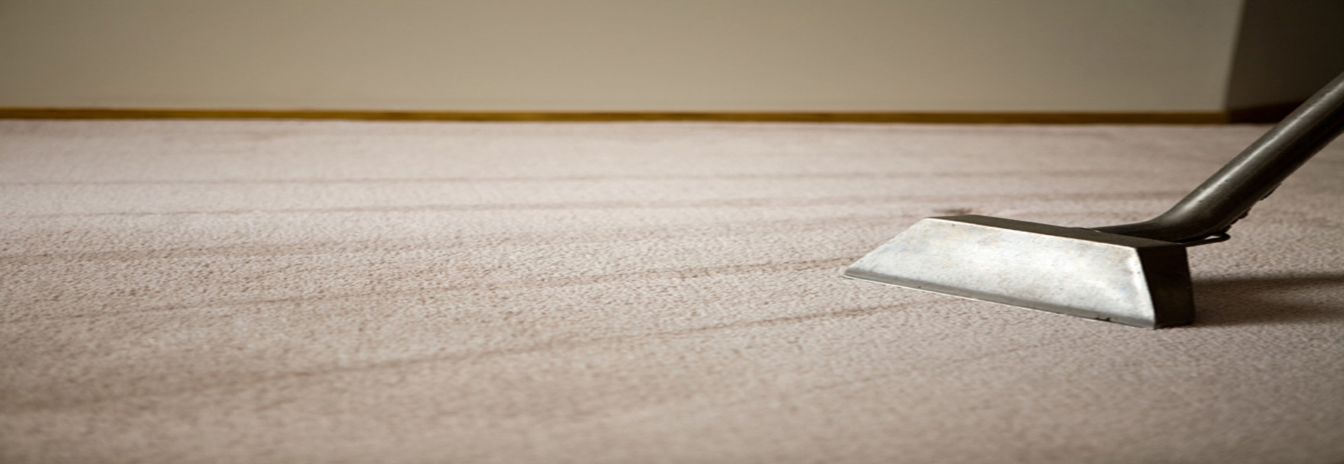 Best Carpet Cleaning Services